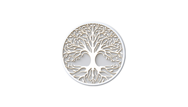 ZU X ORI branching into Watch, Read, and Listen pathways. Read the story on Amazon.